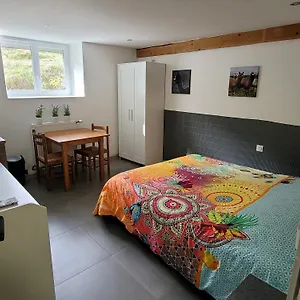 Alpagas Du Domaine Mael , Saint-Antoine (Isere) Frankrijk